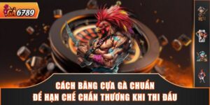 Cách Băng Cựa Gà Chuẩn Để Hạn Chế Chấn Thương Khi Thi Đấu