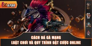 Cách Đá Gà Mạng - Luật Chơi Và Quy Trình Đặt Cược Online