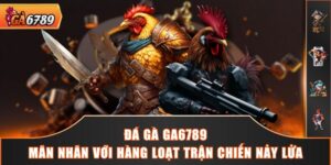 Đá Gà GA6789 - Mãn Nhãn Với Hàng Loạt Trận Chiến Nảy Lửa