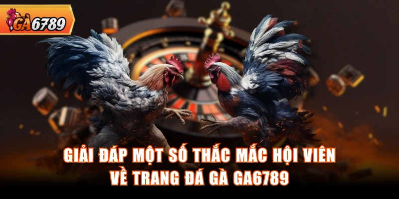 Giải đáp một số thắc mắc hội viên về trang đá gà GA6789 Giải đáp một số thắc mắc hội viên về trang đá gà GA6789