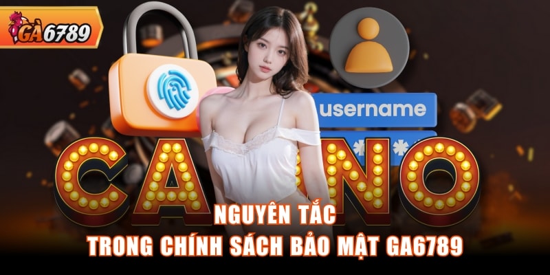 Nguyên tắc trong chính sách bảo mật GA6789 Nguyên tắc trong chính sách bảo mật GA6789