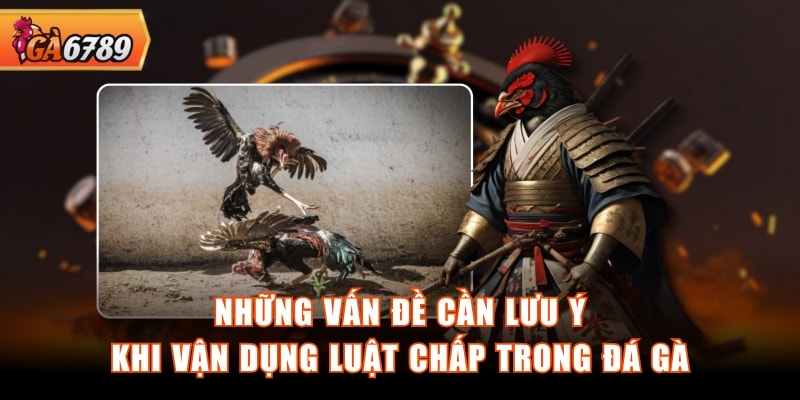 Những vấn đề cần lưu ý khi vận dụng luật chấp trong đá gà