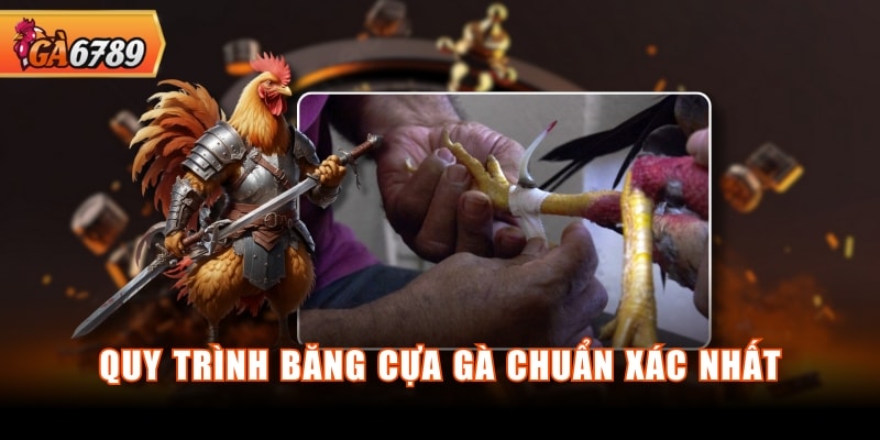 Quy trình băng cựa gà chuẩn xác nhất Quy trình băng cựa gà chuẩn xác nhất