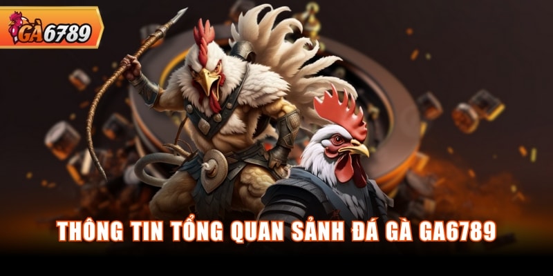 Thông tin tổng quan sảnh đá gà GA6789 Thông tin tổng quan sảnh đá gà GA6789