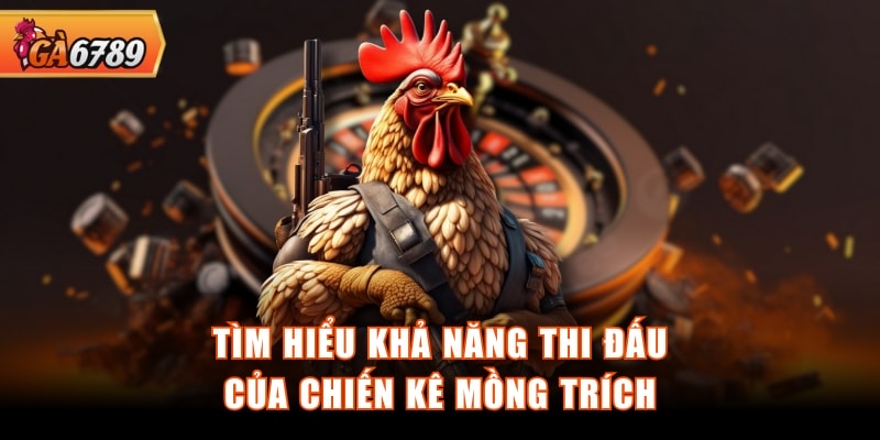Tìm hiểu khả năng thi đấu của chiến kê mồng trích Tìm hiểu khả năng thi đấu của chiến kê mồng trích