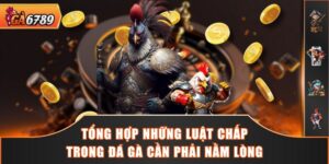 Tổng Hợp Những Luật Chấp Trong Đá Gà Cần Phải Nằm Lòng